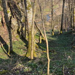 25-03-22 15-30-09 2541